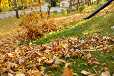 Get Leaf Blowing Service!