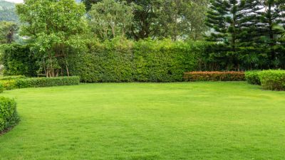 Keep Your Property Looking Great with Leaf Cleanup Services!