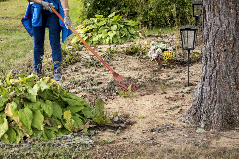 Contact About Leaf Clean Up Service