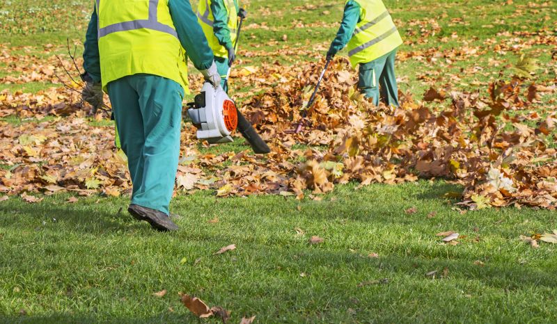 Leaf Clean Up Service