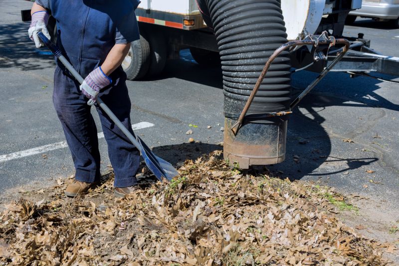 Leaf Clean Up Service