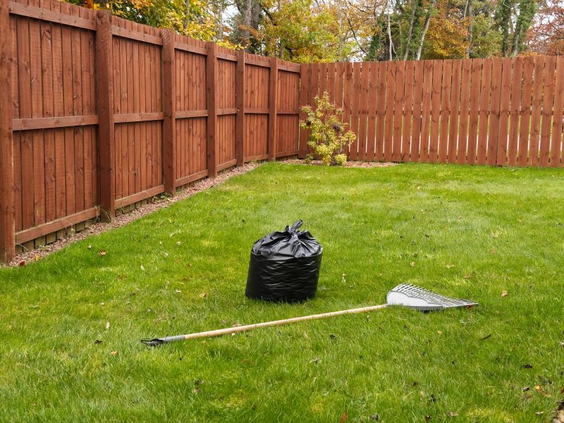 Yard Before Clean-Up