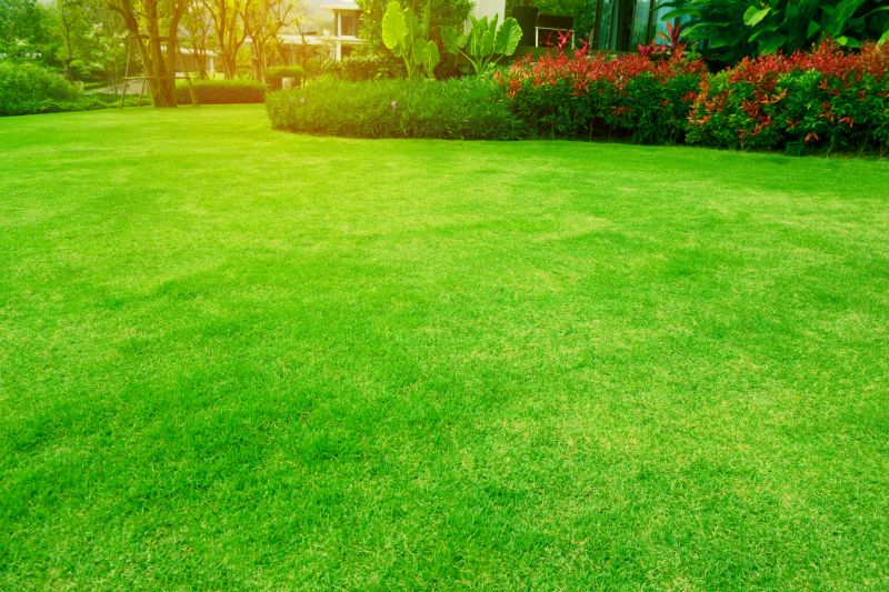 Cleaned Lawn