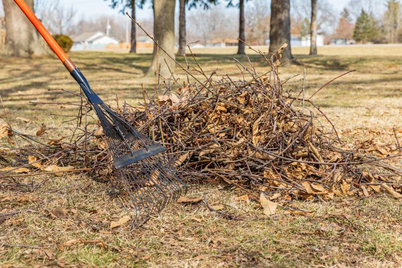 Leaf Clean Up Service