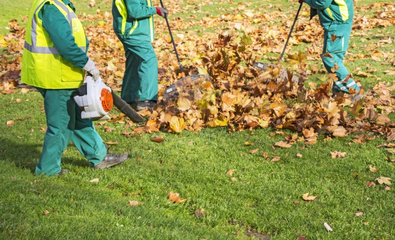 Leaf Clean Up Service