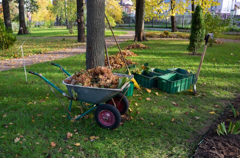 Leaf Clean Up Service