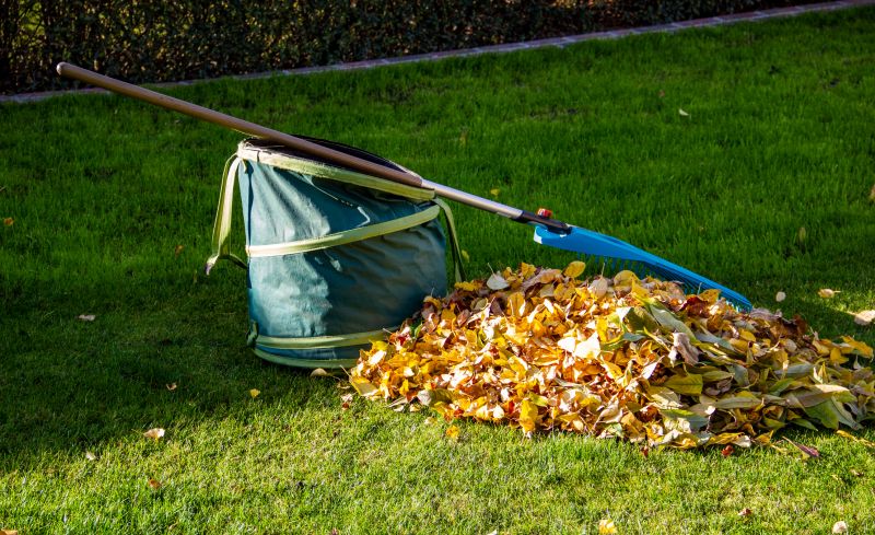 Leaf Clean Up Service