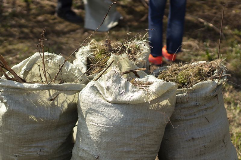 Leaf Clean Up Service