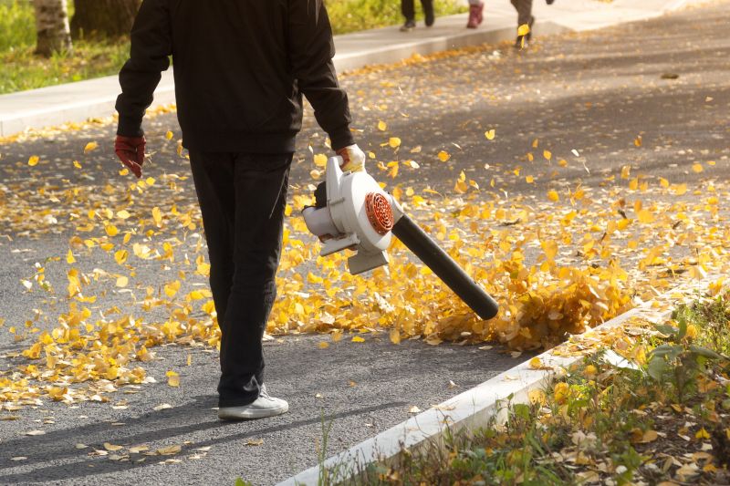 Products For Leaf Clean Up Service in use