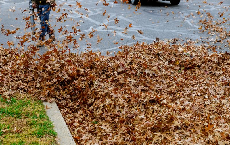 Specialized Leaf Removal Companies