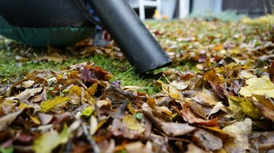 Get Your Leaves Vacuumed!